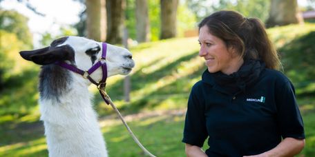 Therapeutin mit Lama