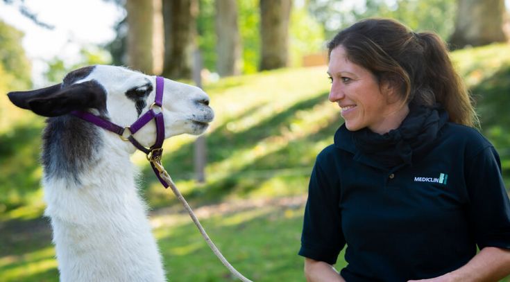 Lamatherapie