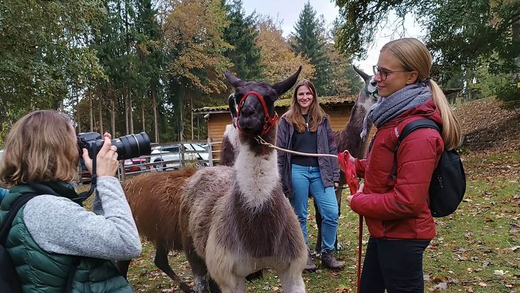Lamawanderung
