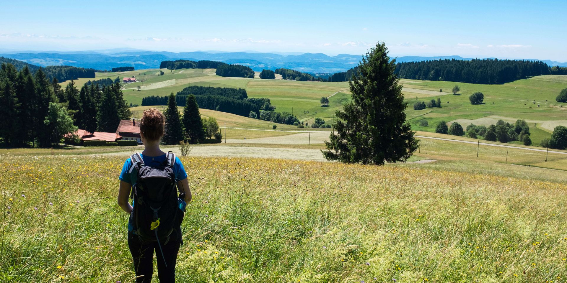 Blick in den Schwarzwald Frau blickt in die Berge im Schwarzwald