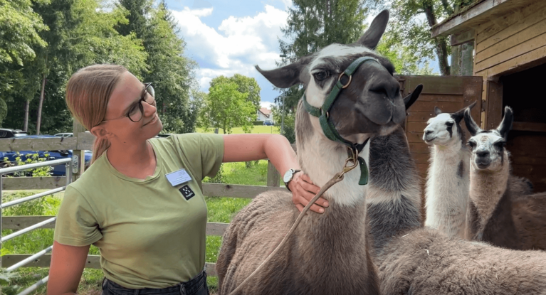 Tiergestützte Therapie
