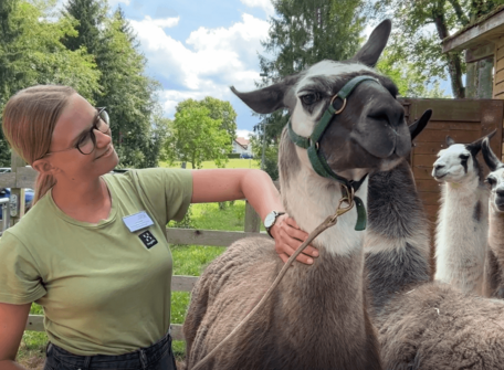 Tiergestützte Therapie mit Lamas