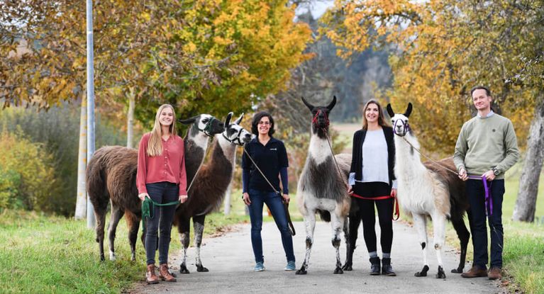 Mitarbeitende mit Lamas