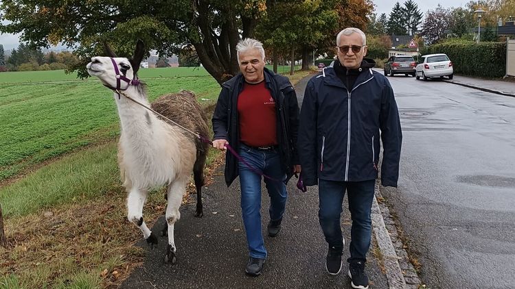 Lamatherapie