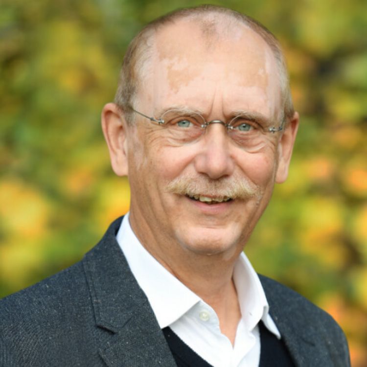 Bernd Haves